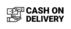 cash on delivery icon
